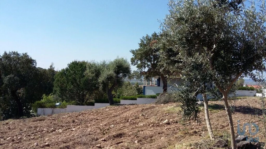 Terreno para Venda em Chamusca e Pinheiro Grande Foto 8