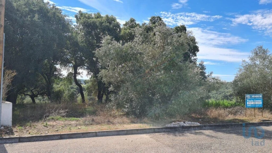 Terreno para Venda em Chamusca e Pinheiro Grande Foto 10