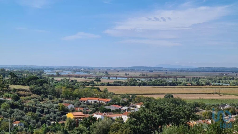 Terreno para Venda em Chamusca e Pinheiro Grande Foto 1