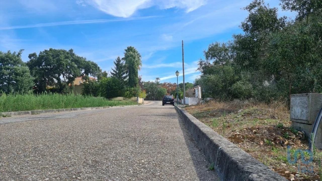 Terreno para Venda em Chamusca e Pinheiro Grande Foto 5