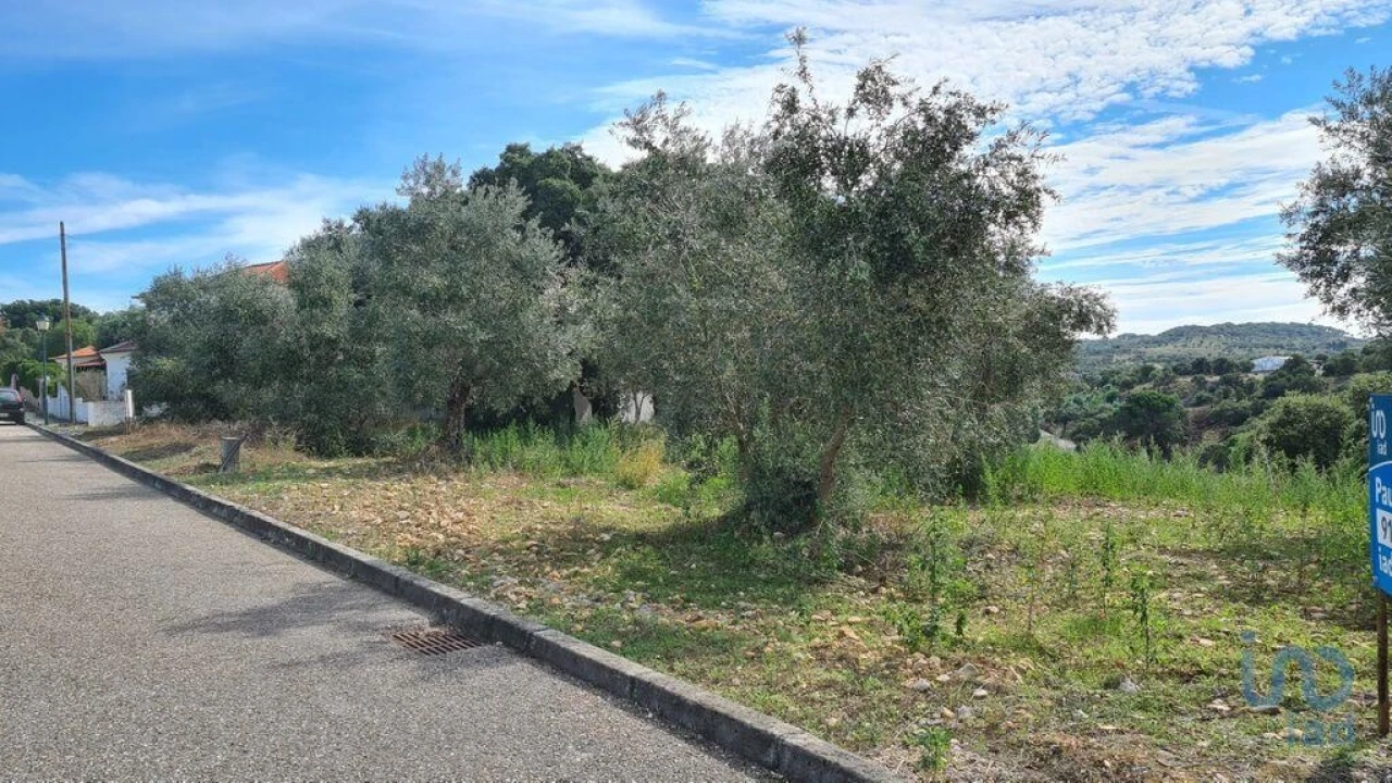 Terreno para Venda em Chamusca e Pinheiro Grande Foto 4