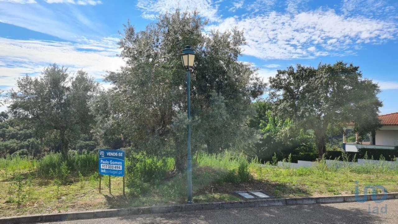 Terreno para Venda em Chamusca e Pinheiro Grande Foto 3