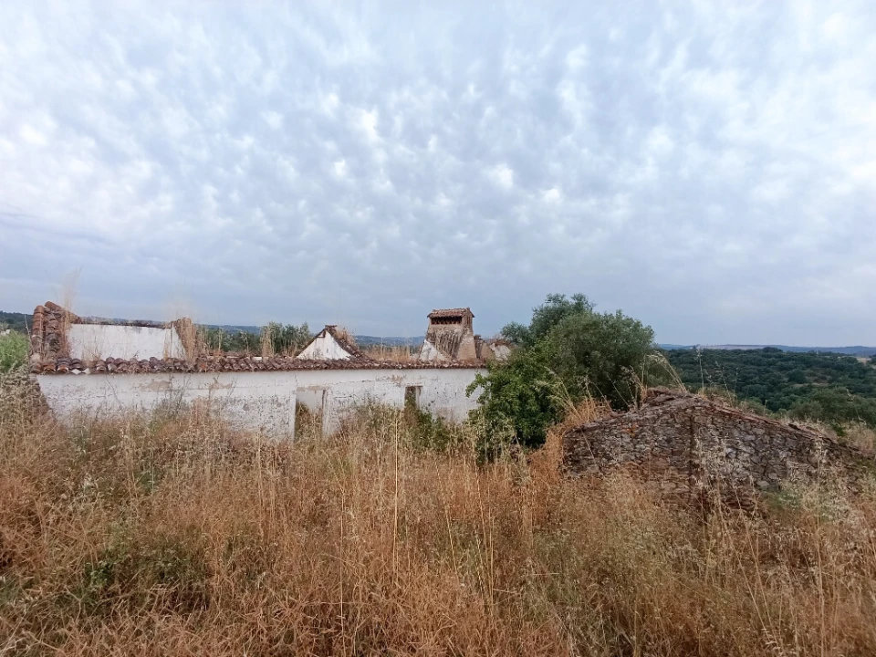 Quinta T2 para Venda em Mouriscas Foto 11