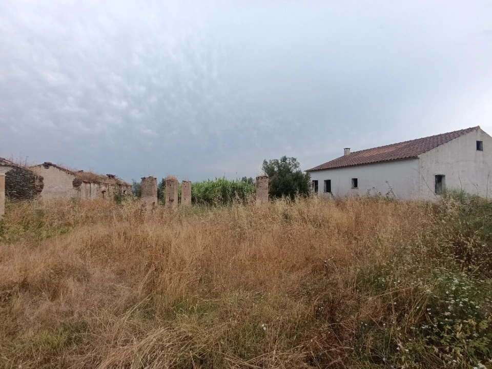 Quinta T2 para Venda em Mouriscas Foto 17