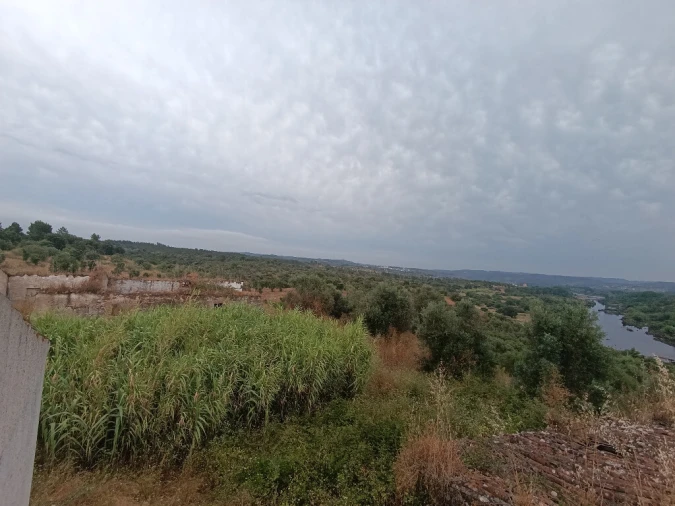 Quinta T2 para Venda em Mouriscas Foto 13