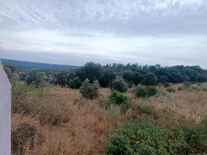 Quinta T2 para Venda em Mouriscas Foto 14