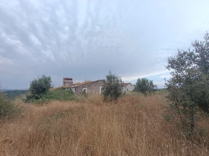 Quinta T2 para Venda em Mouriscas Foto 6