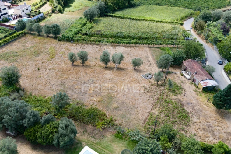 Quinta para Venda em Anais Foto 7