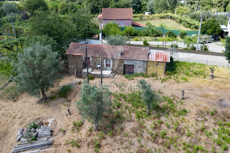 Quinta para Venda em Anais Foto 4