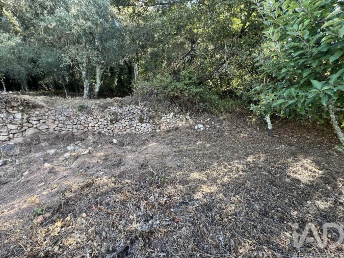 Moradia T2 para Venda em Cumeeira Foto 30