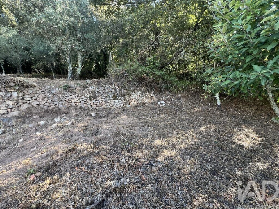 Moradia T2 para Venda em Cumeeira Foto 30