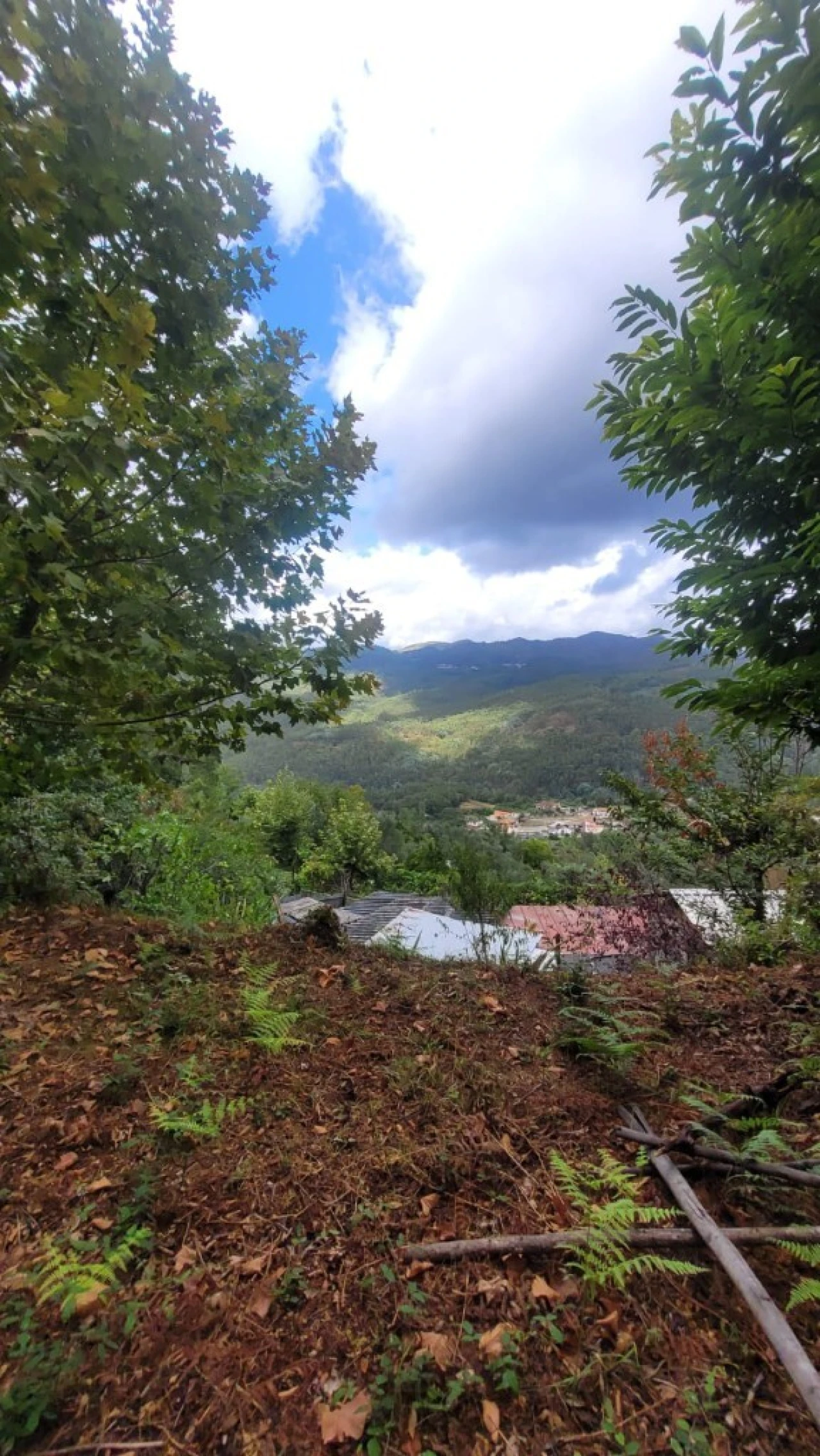 Terreno para Venda em Parada do Bouro Foto 6
