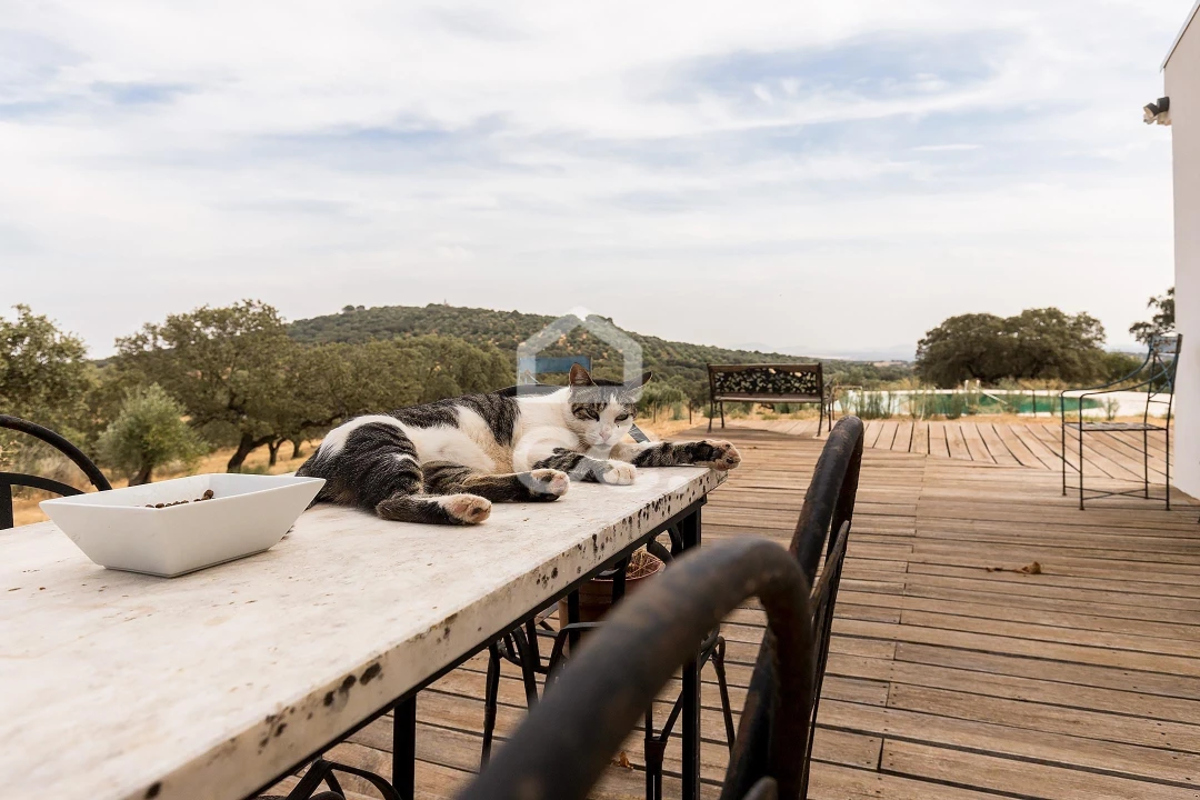 Quinta T3 para Venda em Assunção, Ajuda, Salvador e Santo Ildefonso Foto 48