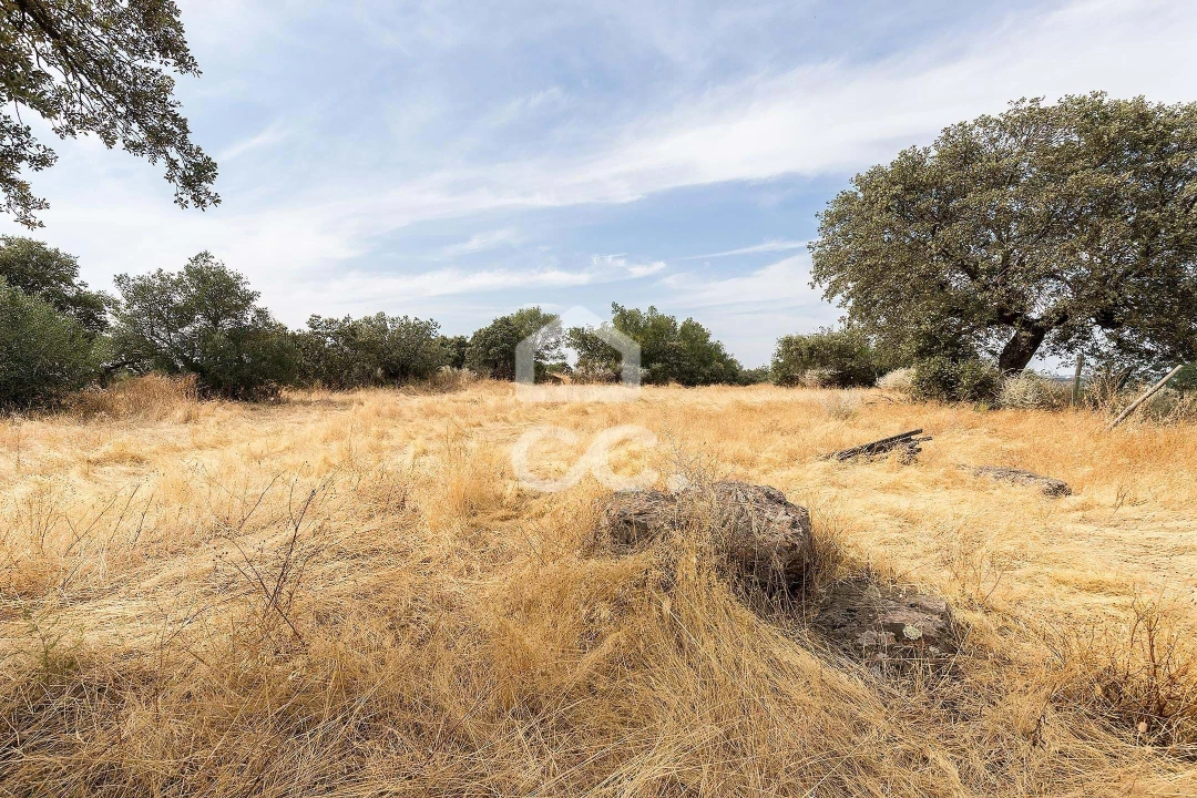 Quinta T3 para Venda em Assunção, Ajuda, Salvador e Santo Ildefonso Foto 34