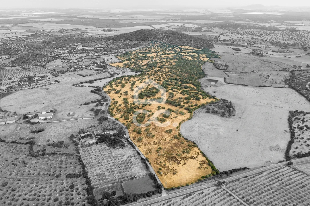 Quinta T3 para Venda em Assunção, Ajuda, Salvador e Santo Ildefonso Foto 69