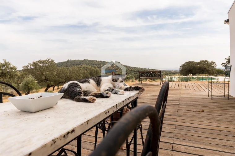 Quinta T3 para Venda em Assunção, Ajuda, Salvador e Santo Ildefonso Foto 48