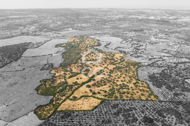 Quinta T3 para Venda em Assunção, Ajuda, Salvador e Santo Ildefonso Foto 5