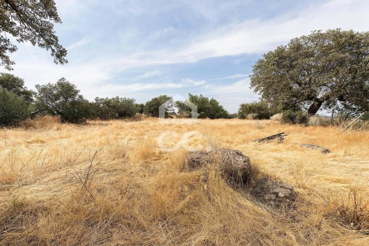 Quinta T3 para Venda em Assunção, Ajuda, Salvador e Santo Ildefonso Foto 34