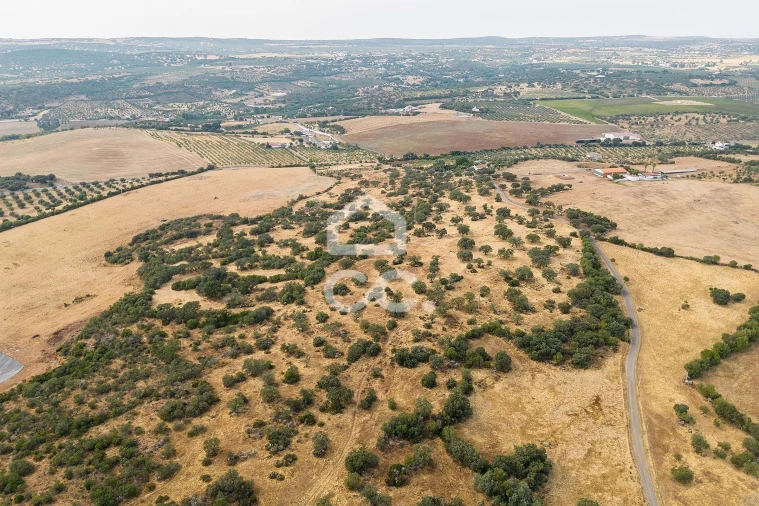 Quinta T3 para Venda em Assunção, Ajuda, Salvador e Santo Ildefonso Foto 80