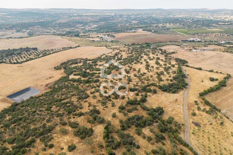 Quinta T3 para Venda em Assunção, Ajuda, Salvador e Santo Ildefonso Foto 79