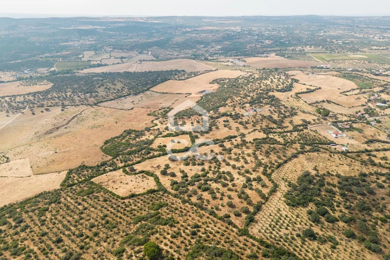 Quinta T3 para Venda em Assunção, Ajuda, Salvador e Santo Ildefonso Foto 91