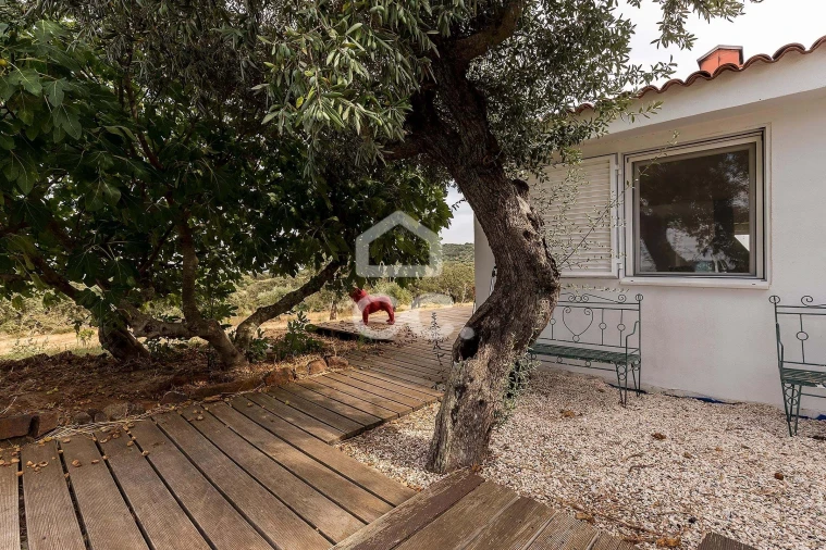 Quinta T3 para Venda em Assunção, Ajuda, Salvador e Santo Ildefonso Foto 40