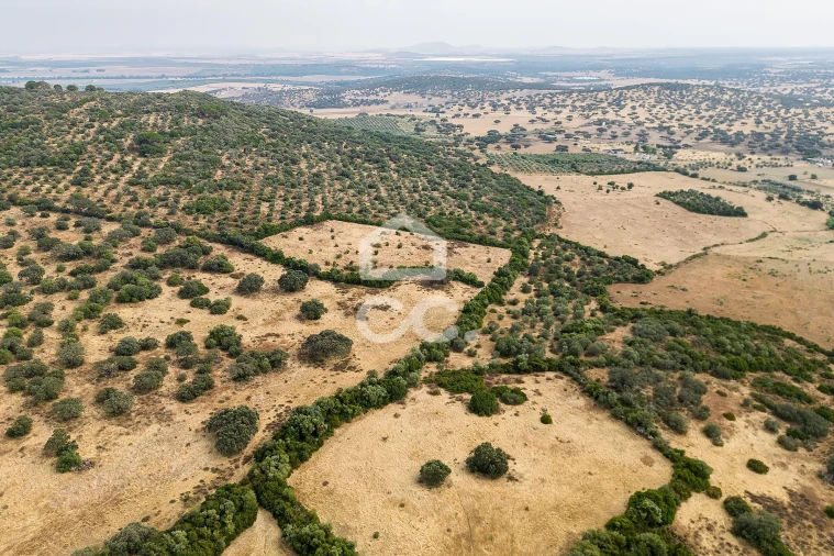 Quinta T3 para Venda em Assunção, Ajuda, Salvador e Santo Ildefonso Foto 88