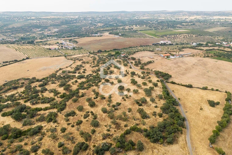 Quinta T3 para Venda em Assunção, Ajuda, Salvador e Santo Ildefonso Foto 81