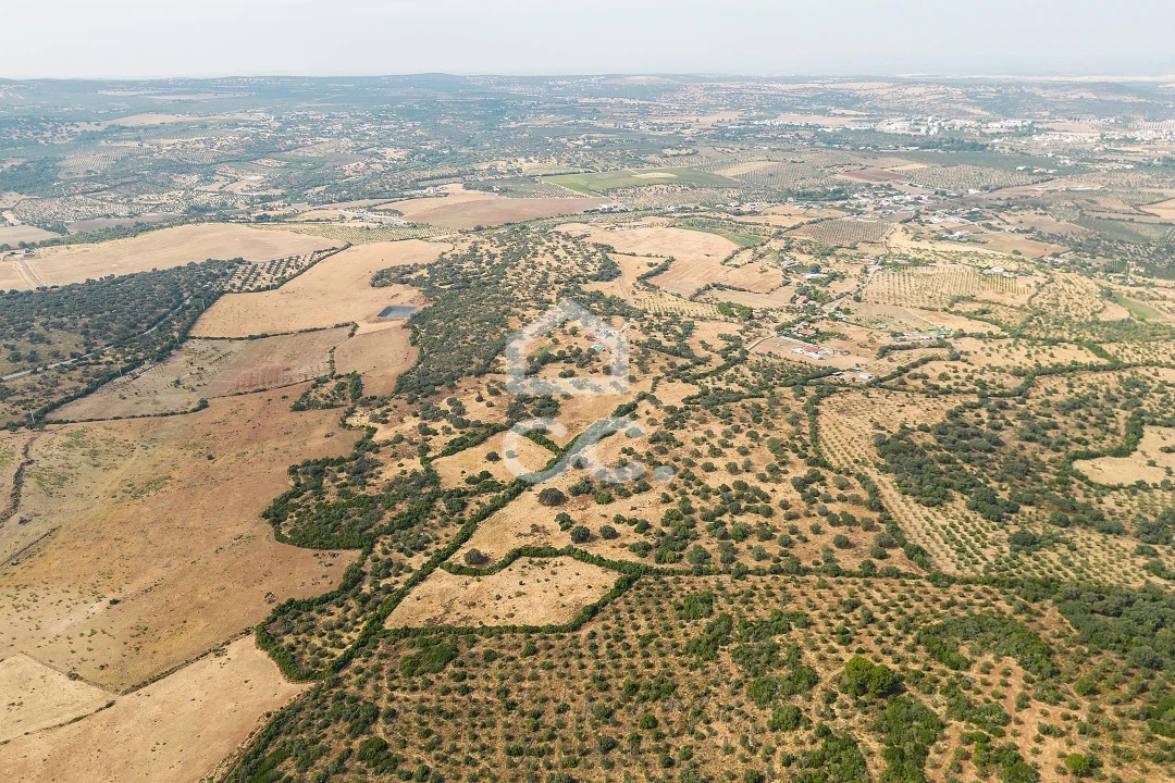 Quinta T3 para Venda em Assunção, Ajuda, Salvador e Santo Ildefonso Foto 90