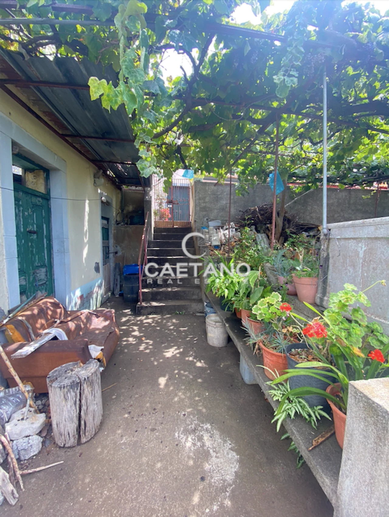 Moradia T1 para Venda em Ponta do Sol Foto 18