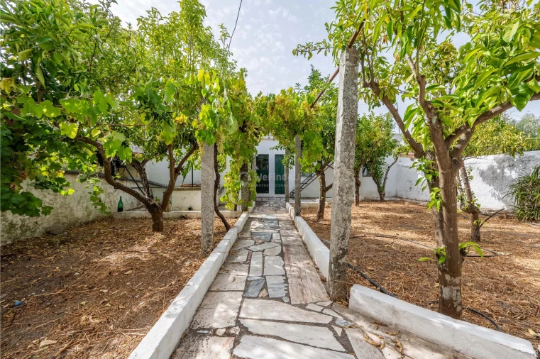 Moradia T7 para Venda em Gafete Foto 22