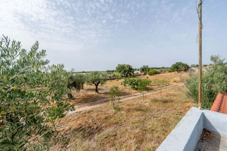 Moradia T7 para Venda em Gafete Foto 30