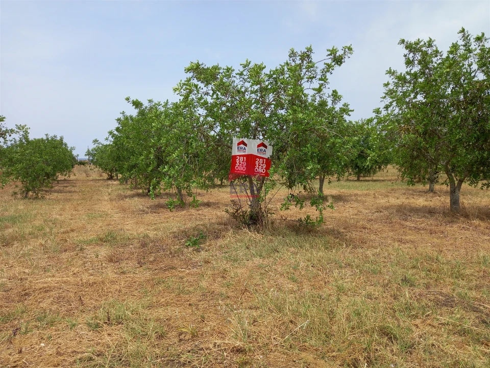 Armazém para Venda em Luz de Tavira e Santo Estêvão Foto 12