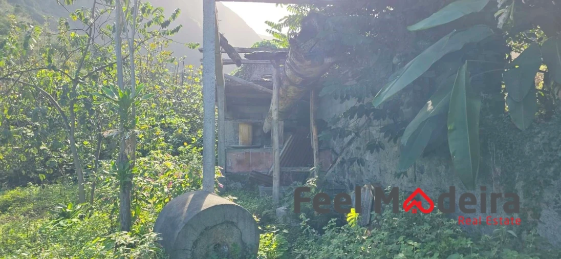 Moradia T4 para Venda em Ponta Delgada Foto 9