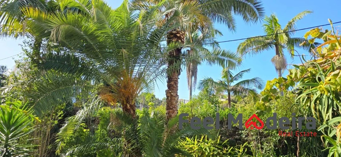 Moradia T4 para Venda em Ponta Delgada Foto 11