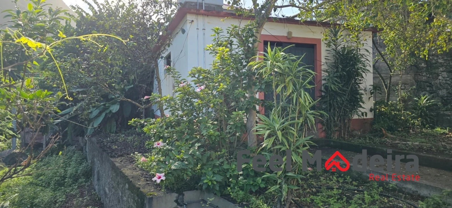 Moradia T4 para Venda em Ponta Delgada Foto 8