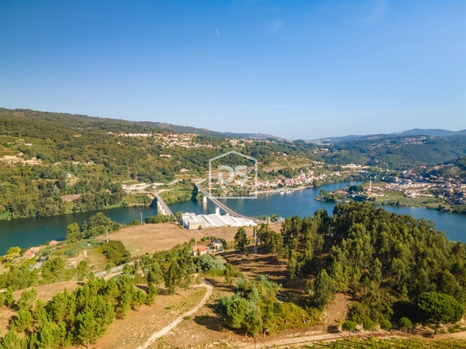 Moradia T4 para Venda em Santa Maria de Sardoura Foto 5