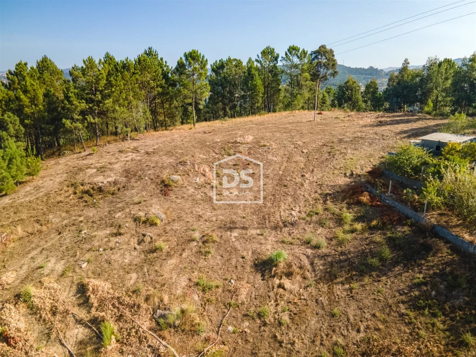 Terreno para Venda em Santa Maria de Sardoura Foto 6