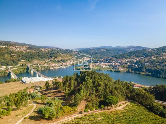 Terreno para Venda em Santa Maria de Sardoura Foto 10