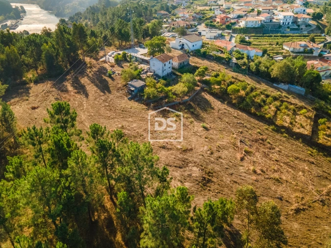 Terreno para Venda em Santa Maria de Sardoura Foto 11