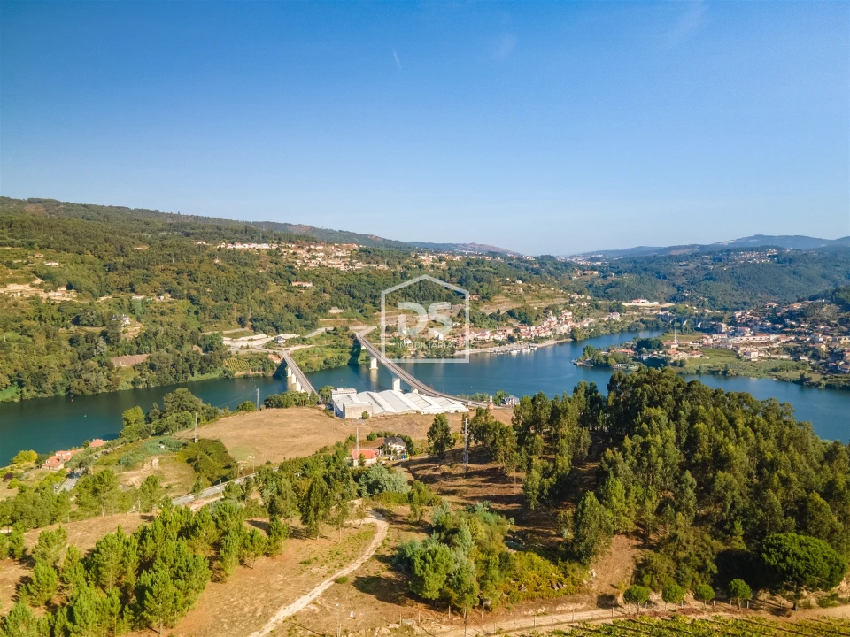Terreno para Venda em Santa Maria de Sardoura Foto 12