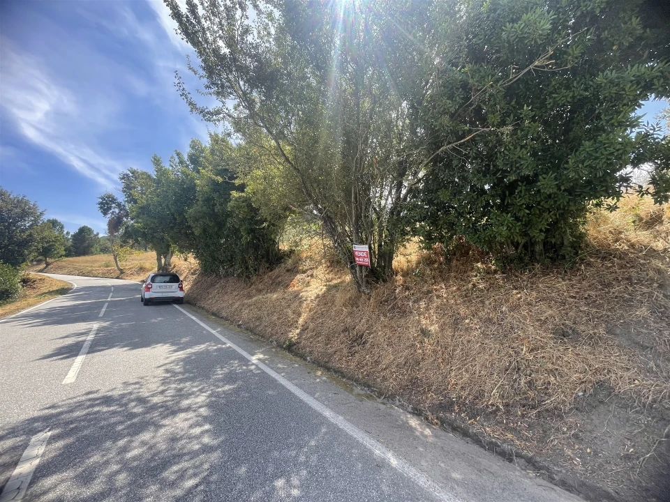 Terreno Agricola ou Rústico para Venda em Melo e Nabais Foto 15