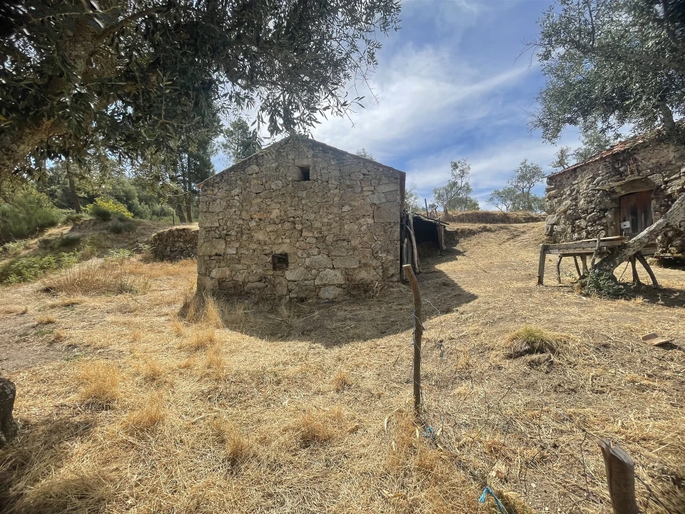 Terreno Agricola ou Rústico para Venda em Melo e Nabais Foto 4