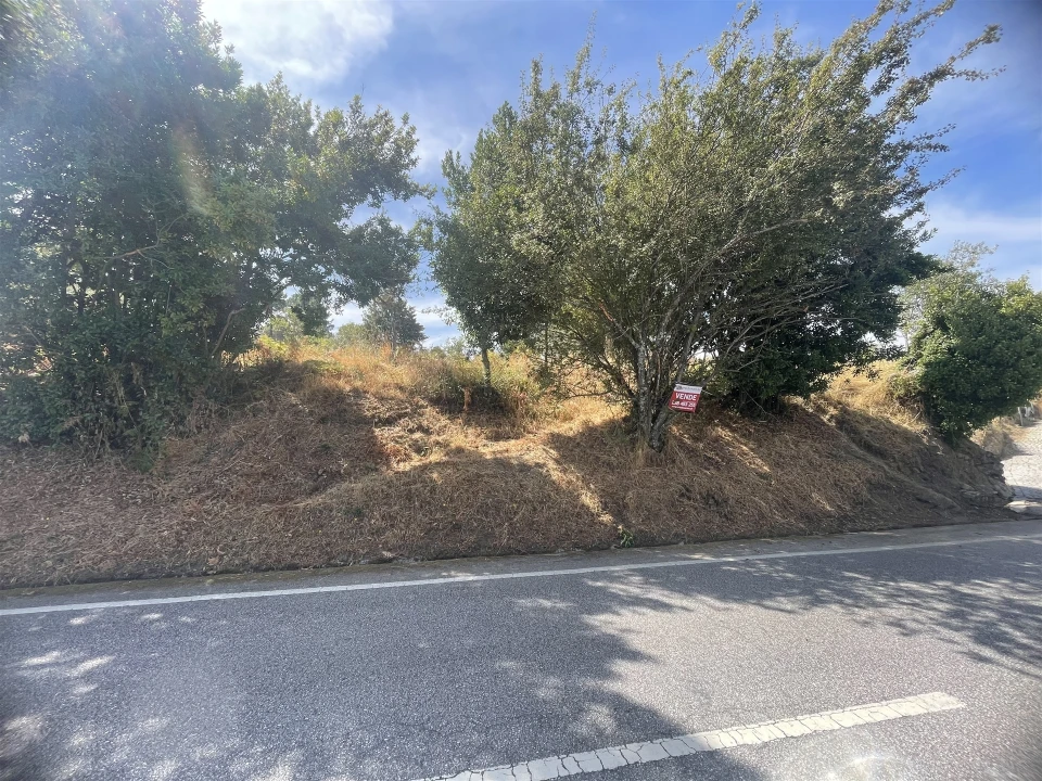 Terreno Agricola ou Rústico para Venda em Melo e Nabais Foto 14