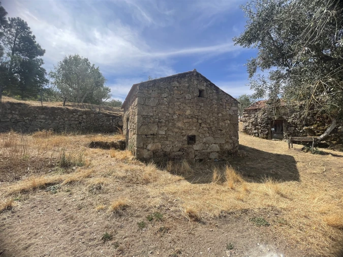 Terreno Agricola ou Rústico para Venda em Melo e Nabais Foto 2