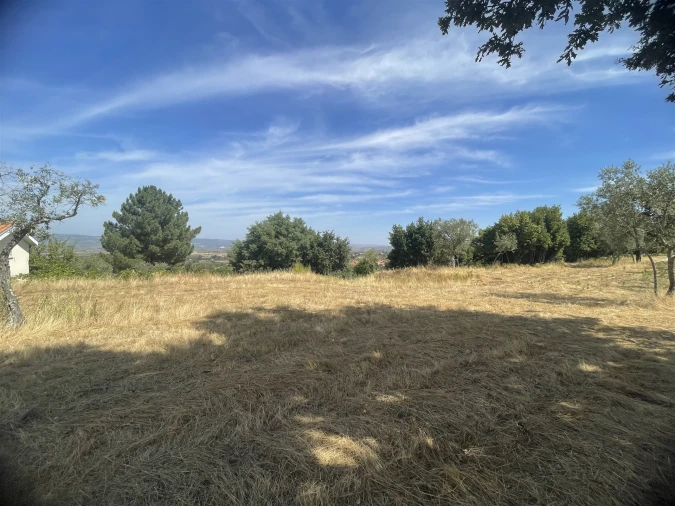 Terreno Agricola ou Rústico para Venda em Melo e Nabais Foto 9