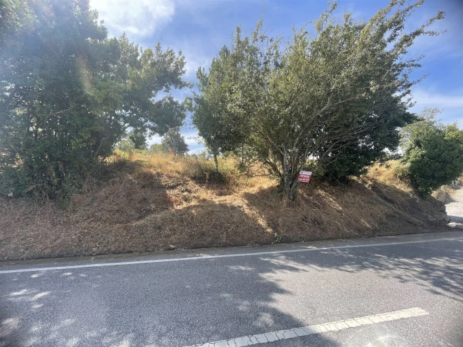 Terreno Agricola ou Rústico para Venda em Melo e Nabais Foto 14