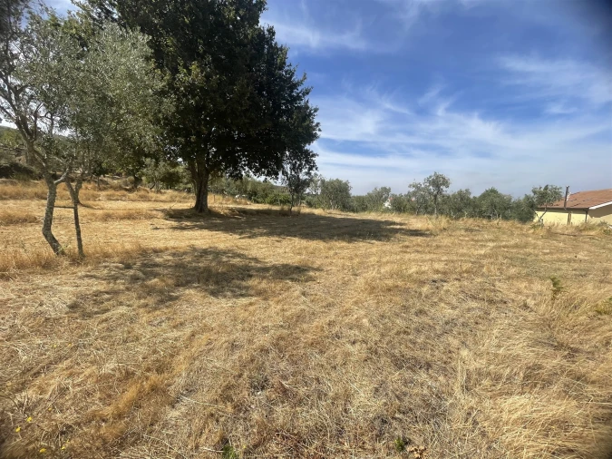 Terreno Agricola ou Rústico para Venda em Melo e Nabais Foto 8