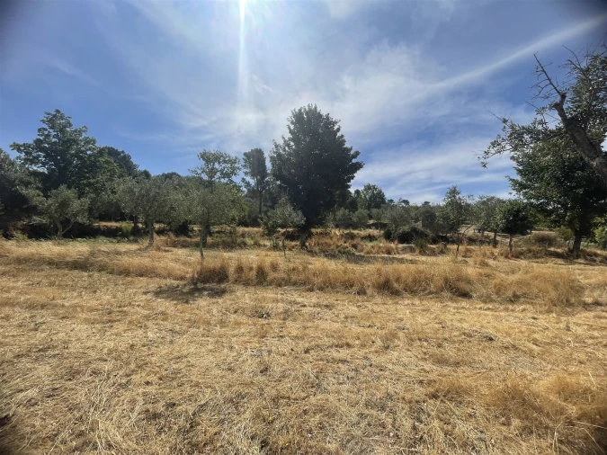 Terreno Agricola ou Rústico para Venda em Melo e Nabais Foto 10