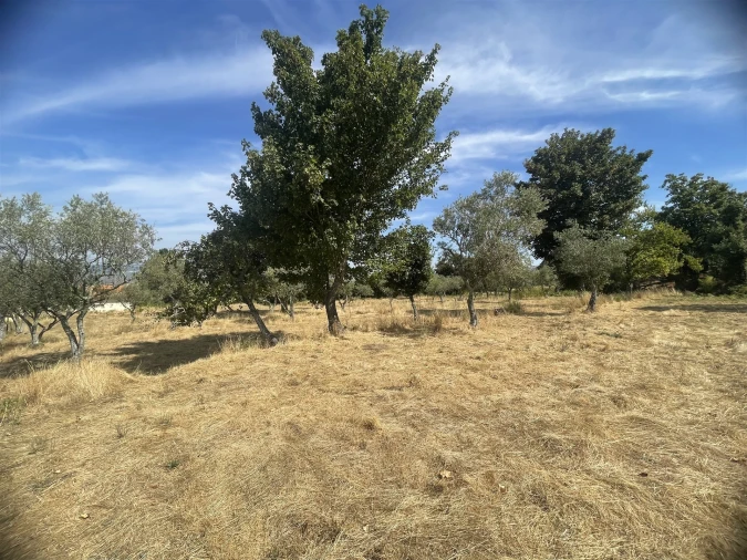 Terreno Agricola ou Rústico para Venda em Melo e Nabais Foto 12
